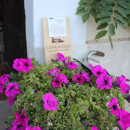 Cefalicchio B&B Canosa di Puglia