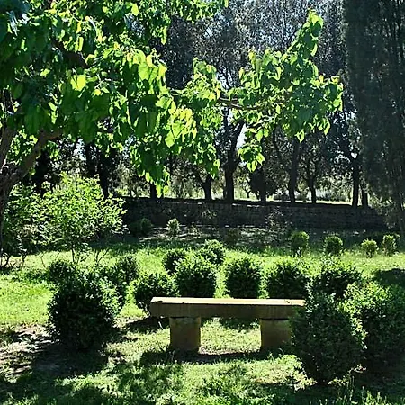 Cefalicchio B&B Canosa di Puglia