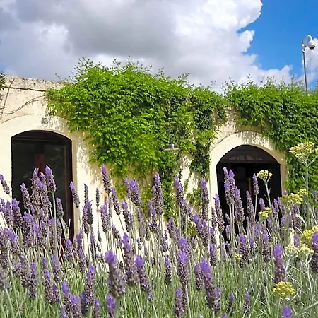 Bed & Breakfast Cefalicchio B&B Canosa di Puglia